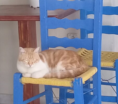 Yunan adaları turu 7.gün Samos-Ekim-2018
